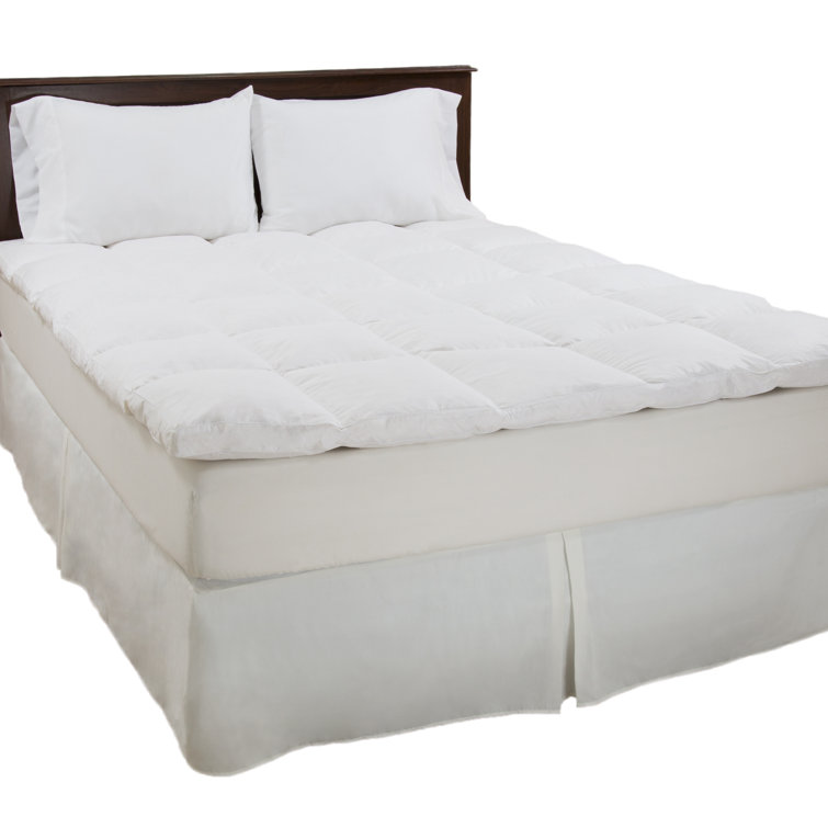 PLYH 2" Duck Feathers Mattress Topper & Reviews Wayfair